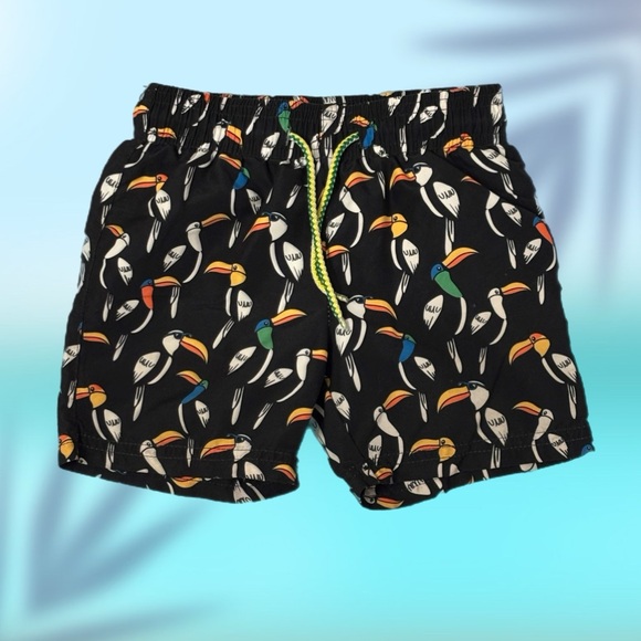 Appaman Kids Swim Set with Toucan Design - Black, Blue, Yellow Size 3T - Picture 3 of 3